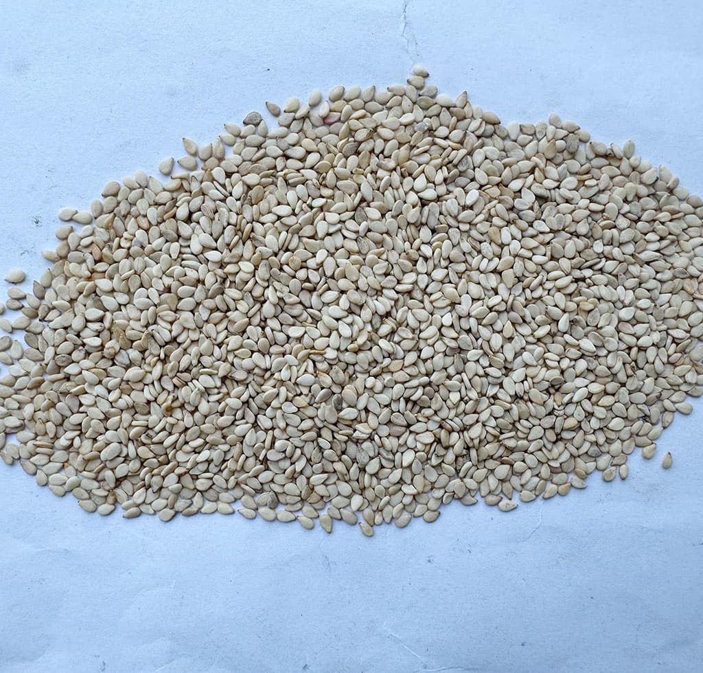 白芝麻冠品特级