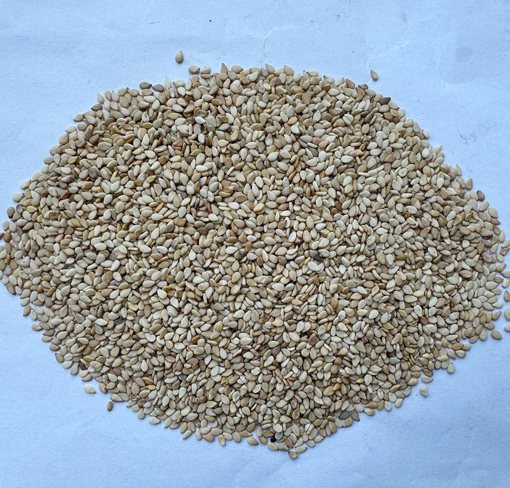 黄白芝麻一级(二道口)