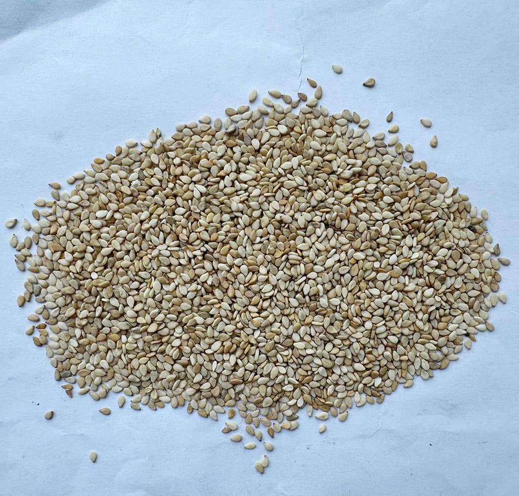 黄白芝麻二级(一道口)